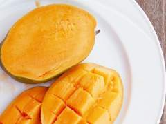 [랩홉] 사랑의 시작은 망고에서부터 #1