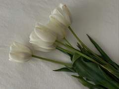 2022. 01. 03. ~ 2022. 01. 09.