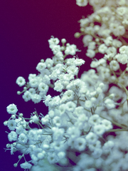 토주 과몰입형 인간