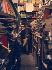 아무래도 남주가 미친 것 같다