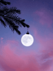 여러분 한번만 봐주세요!