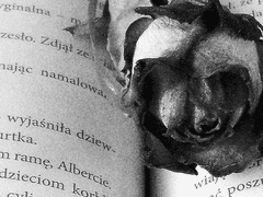 Penelope Freya White