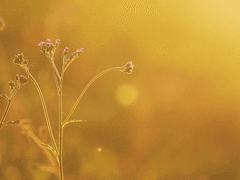 어제는 밥을 먹었어.