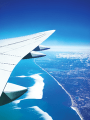 평범하기도, 그렇지 않기도 한 이들의 여행 이야기 나무