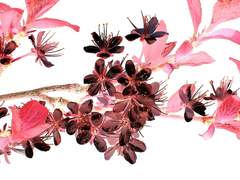 산산히 부서진 유리조각은 마음을 꿰뚫고