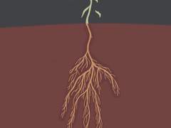 아무도 잡아주지 않아서