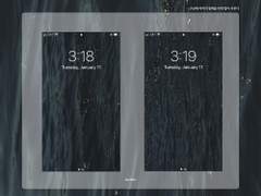 구글에 이미지 검색을 하면 밤이 나온다