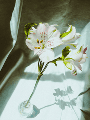 너와 함께한 시간