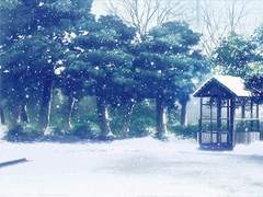 [하이큐 상황문답] 크리스마스 선물로 빅엿을 받았다.(과연 결말은...?)