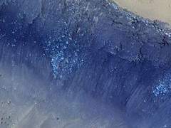 당신의 겨울에는