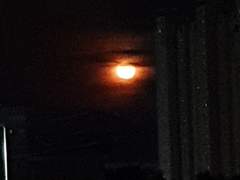 경유청 |xx| 18 | 미술과