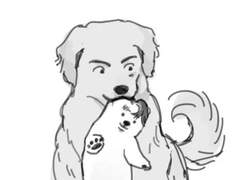 오르테디콰랙샷