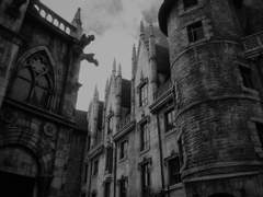 까맣게 덮여버린 하늘을 마주하며