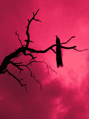 천사 도난 사건