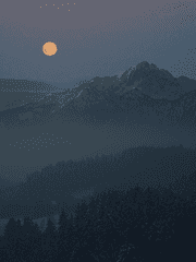 초보자를 위한 와일드 리프트 설명서