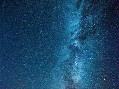 Eris Thor/xx/종교/혼혈