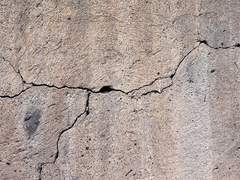 꼬리별의 마법사 5