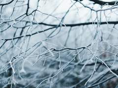 담설야 인간 여성 ?