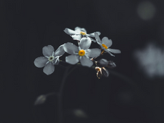 오늘 당신의 하루는 어땠나요