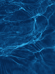 데못죽 관련 정리글