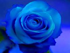 절뚝이는 박애의 바다에 가라앉아,