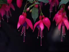 [ 민이경 / 19세 / 1기 ]