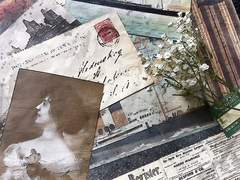 모간고 성인 프로필(잠금)