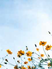 그해 우리는 2차 창작