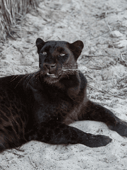 {쿠로오 테츠로 드림} What Do I Call You