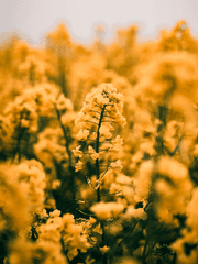 겨울방학 챌린지