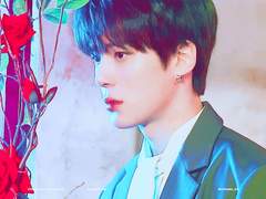 시든 꽃, 노란장미