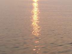 사랑이라는 말로