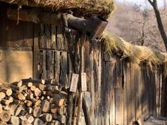 피어오르는 붉은 잔해