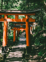 그 당주의 이야기