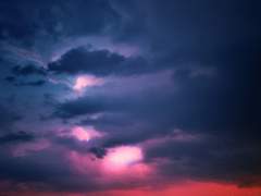 여명의 때가 도래할 지금 이 밤,