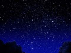 비가 내려도 우산은 쓰지 않아