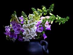 판단은 각자의 몫이다