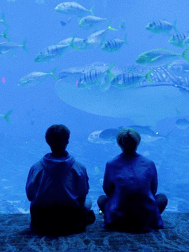 사정(事情) 시리즈