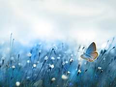 곤충은 멋진 생물이야.