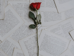 Got me in chains 04.