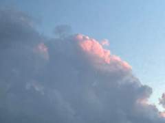 금빛 햇살 가득한 어느 정류장에서,