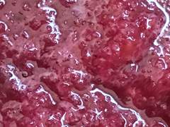 『13』 <파울리나 1880>을 읽고 나서