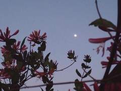 넌, 지금 이곳에 존재해?