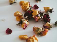 [흡툭죽/델타로나드라] Waltz #2 (XO)