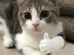 아악 나 꼬시는 김도영을 어찌 피하리..TALK