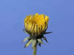 옷깃만 스치는 인연