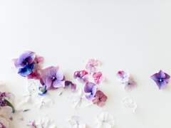 캐시… 네 눈에 나는 어떻게 보여?