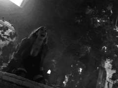 도원경의 위화 違和