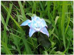 [국뷔] 살아남은 아이들 10