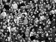 모(브)형정원도 사람이야 합작(발표연장)